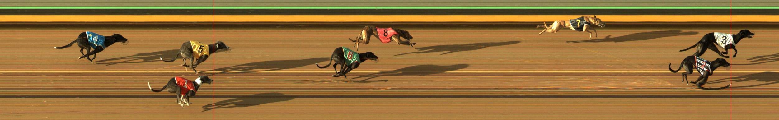 Race result finish photo